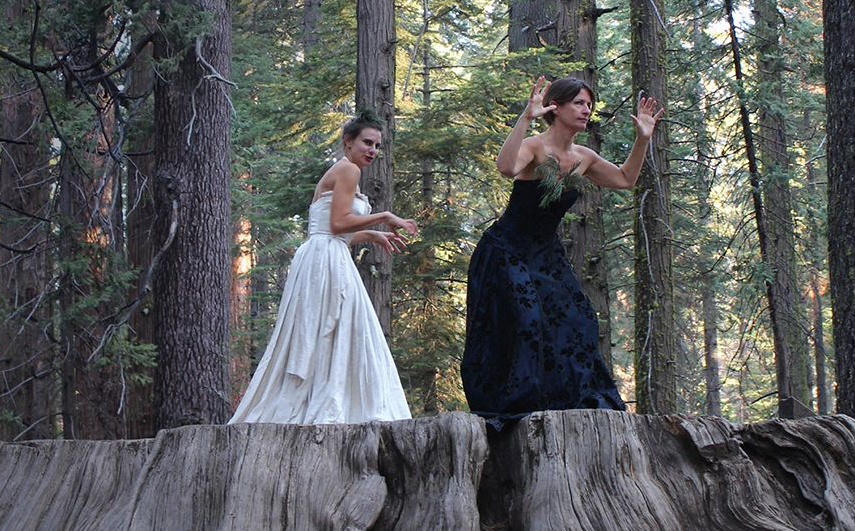 Helen Paris and Claudia Bart are standing on top of a huge cut trunk in a forest. They are wearing a black and a white gown.