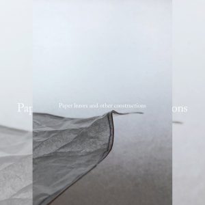 Paper leaves and other constructions