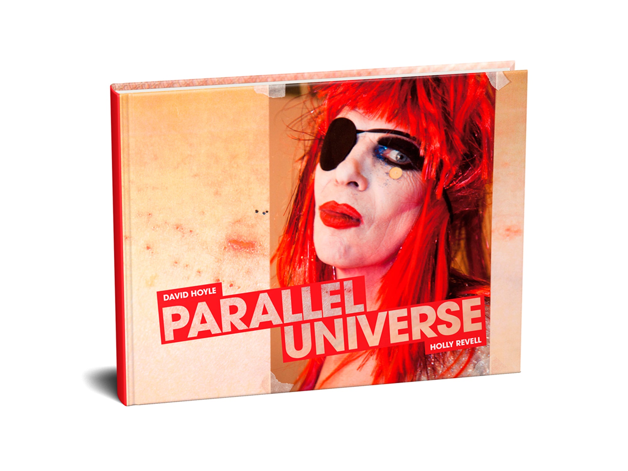 David Hoyle: Parallel Universe