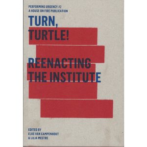 Turn, Turtle! Reenacting The Institute