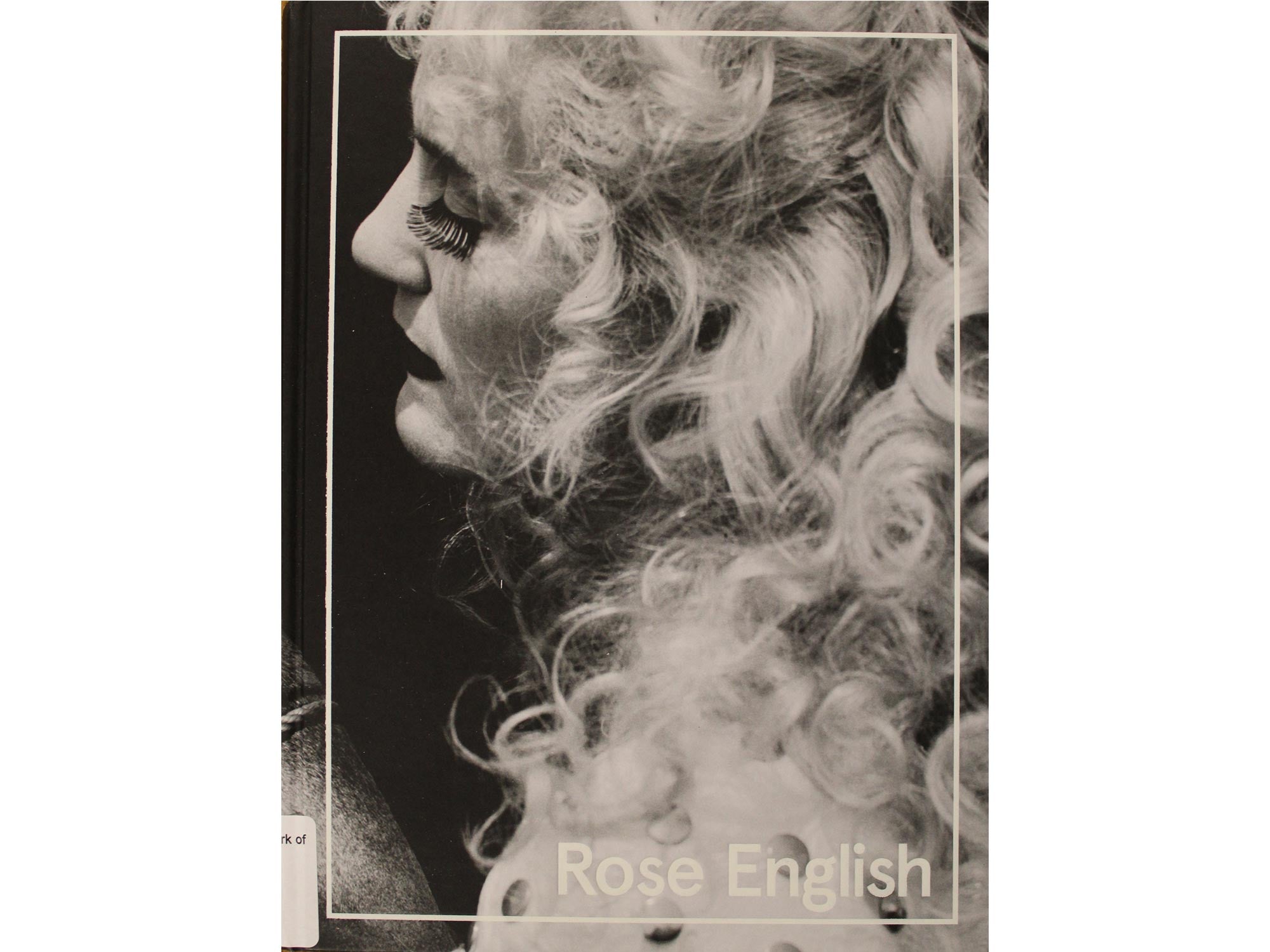 Abstract Vaudeville The Work of Rose English