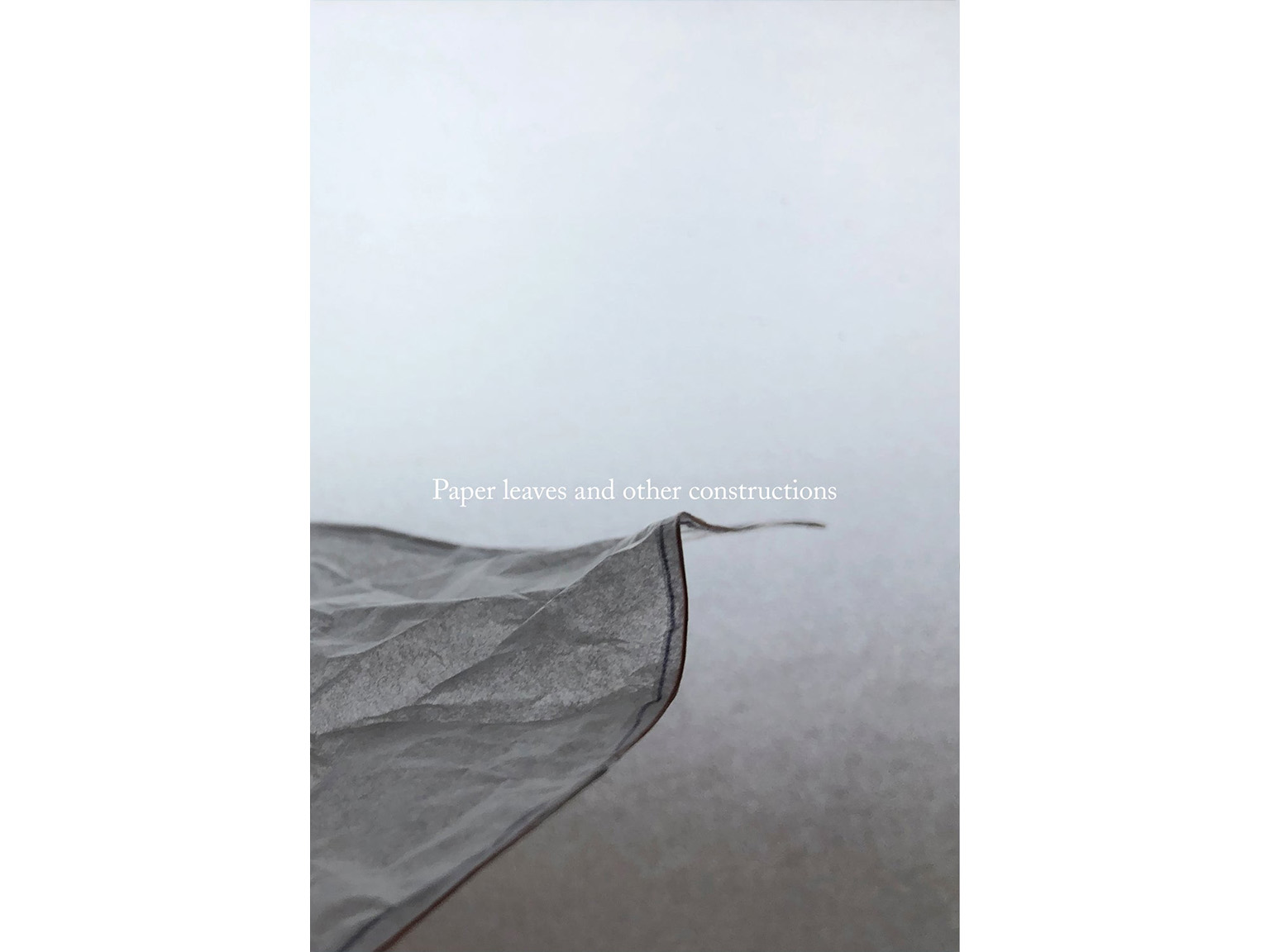 Paper leaves and other constructions