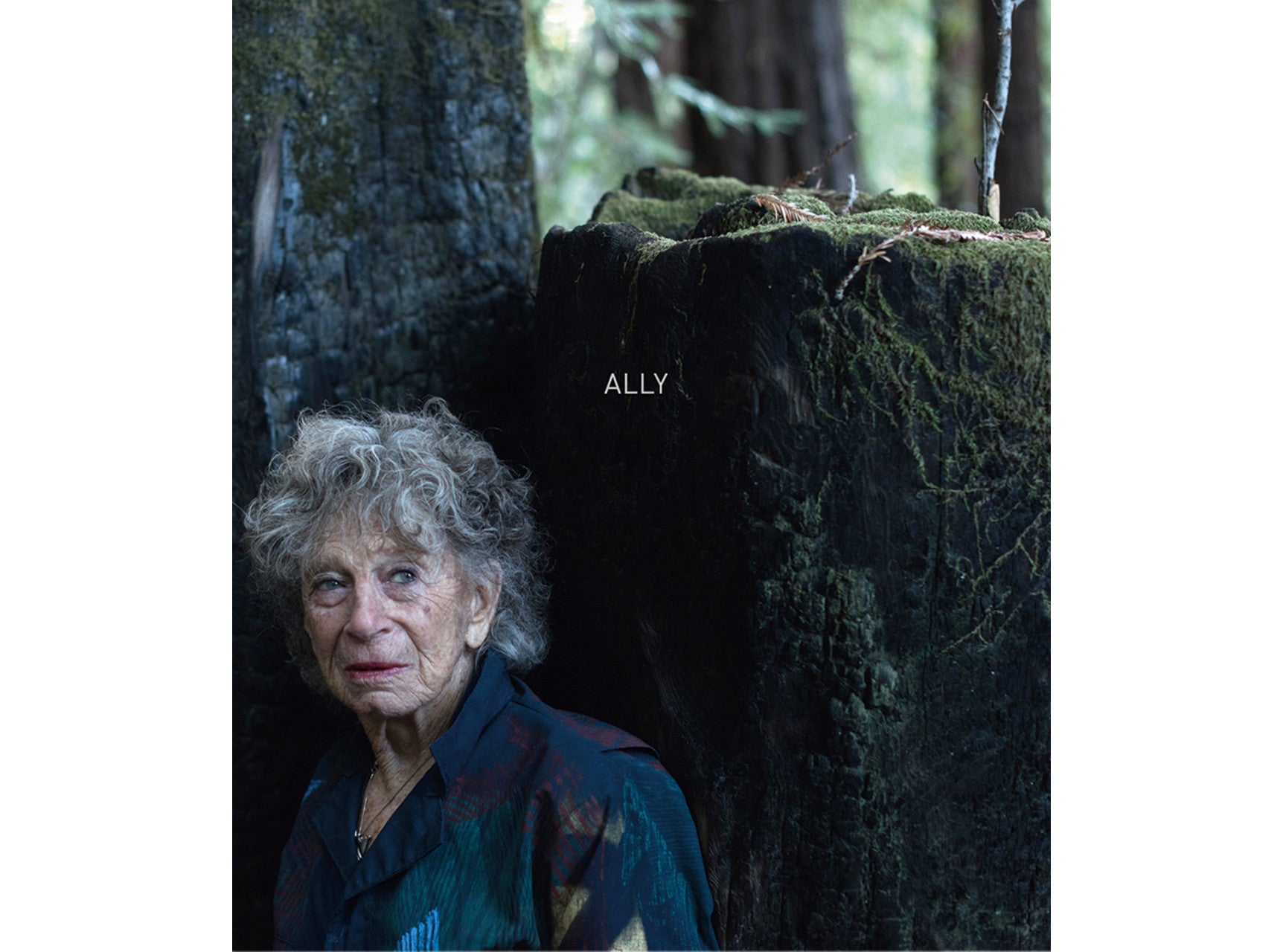 Ally - Janine Antoni