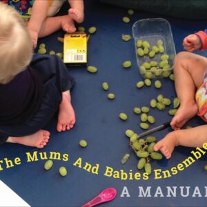 The Mums and Babies Ensemble: A Manual - Duška Radosavljević