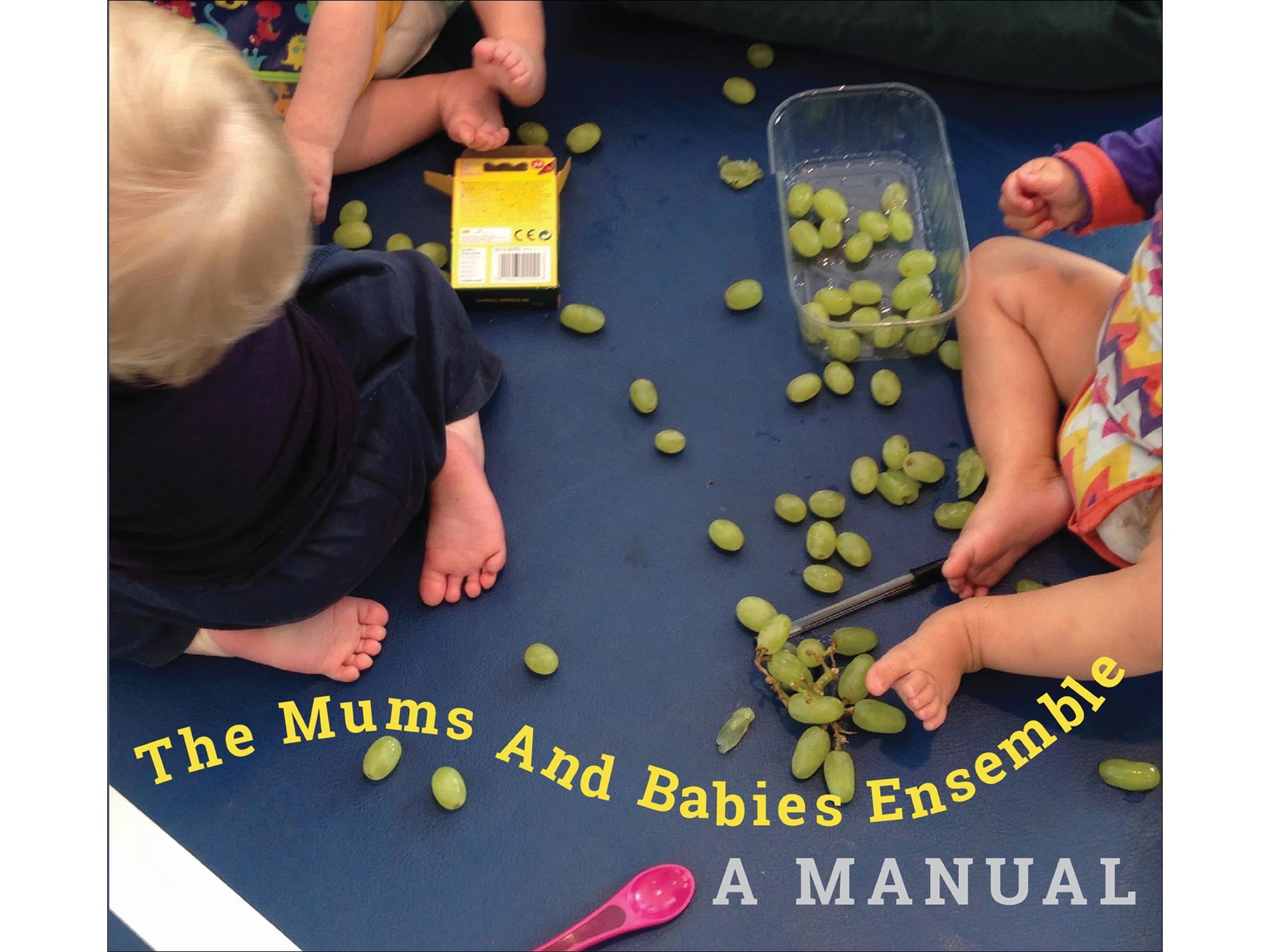 The Mums and Babies Ensemble: A Manual - Duška Radosavljević