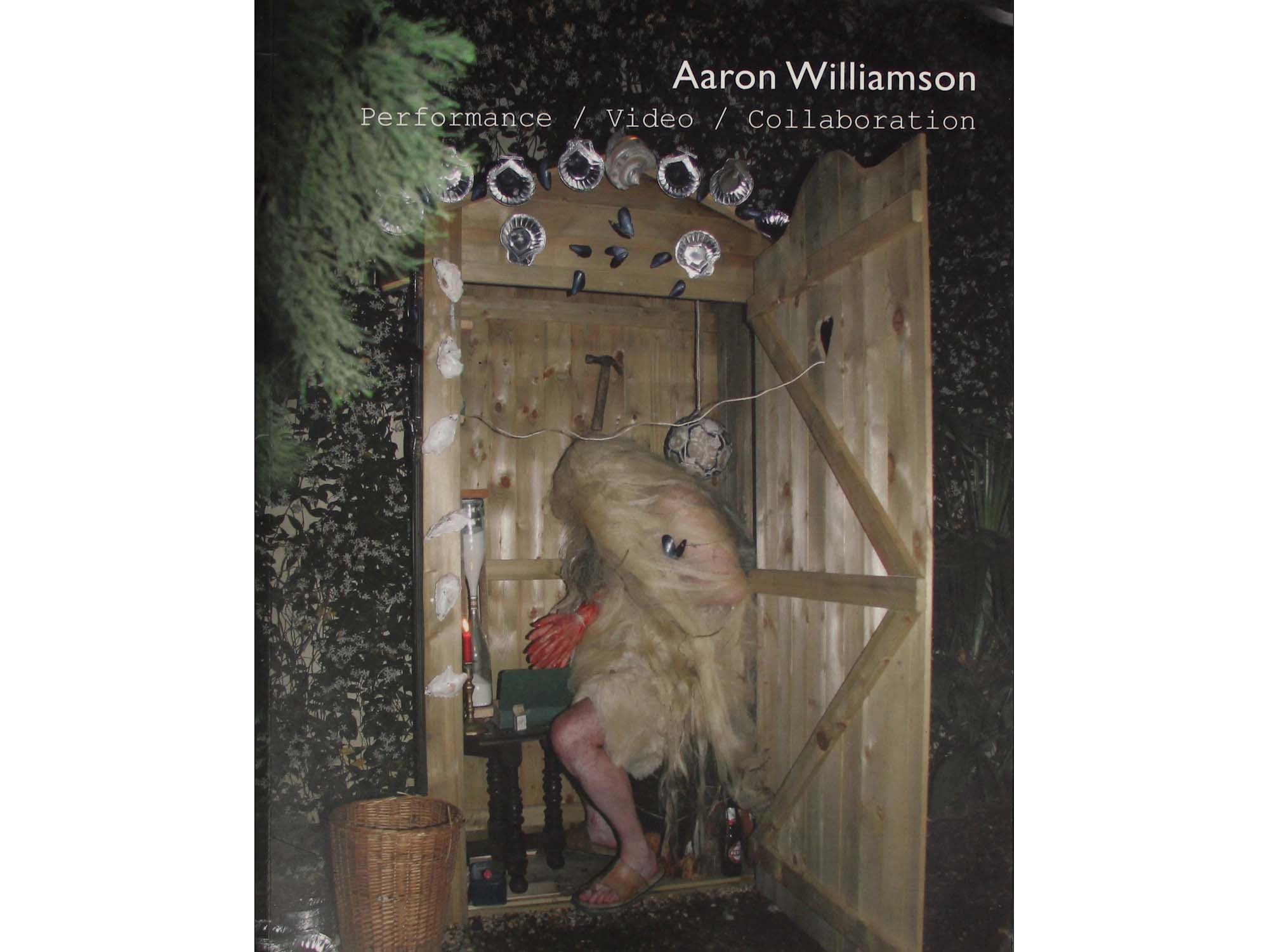 Performance / Video / Collaboration - Aaron Williamson