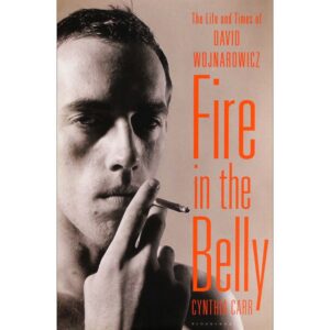 Fire in the Belly: The Life and Times of David Wojnarowicz - Cynthia Carr