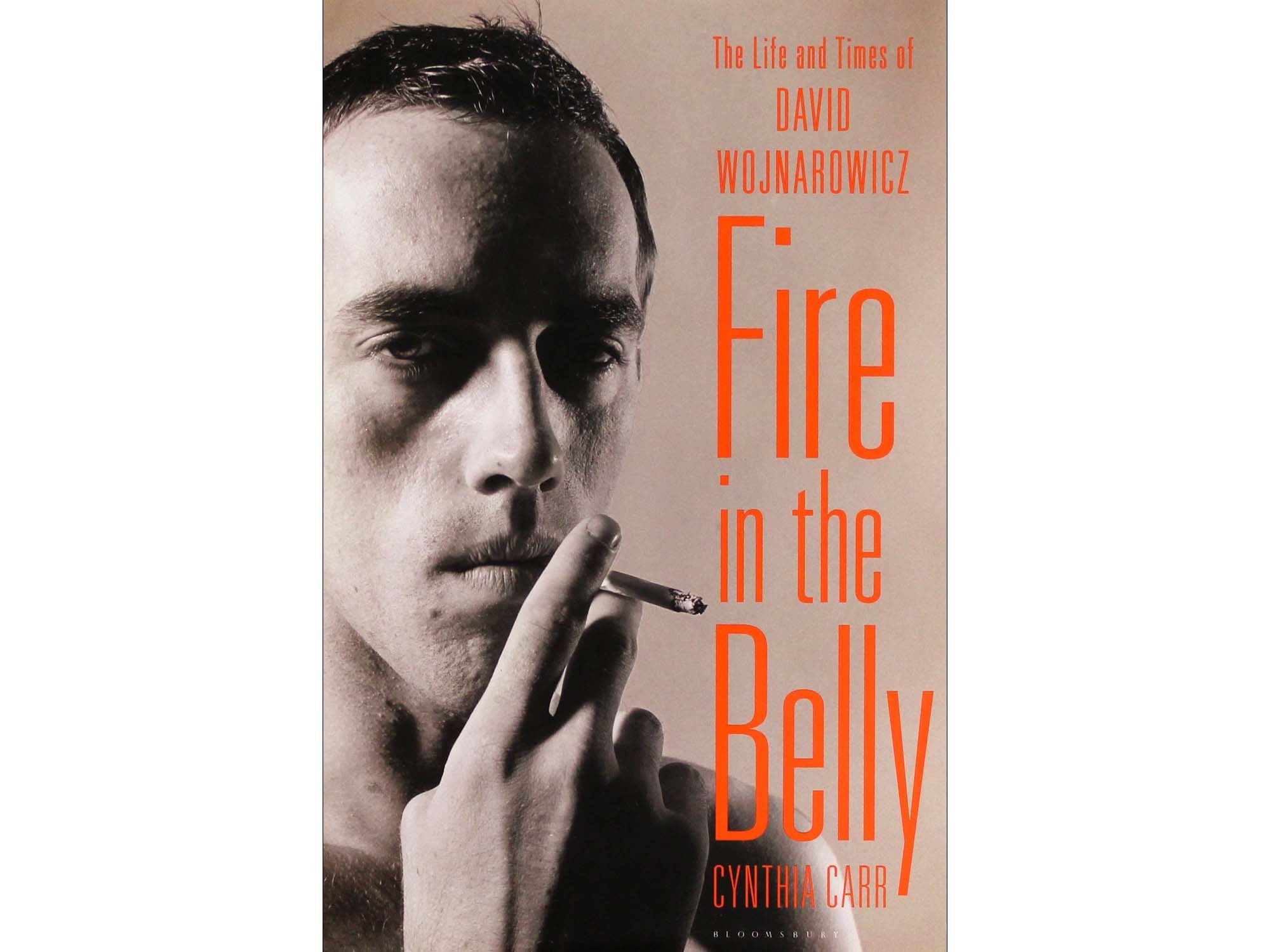 Fire in the Belly: The Life and Times of David Wojnarowicz - Cynthia Carr