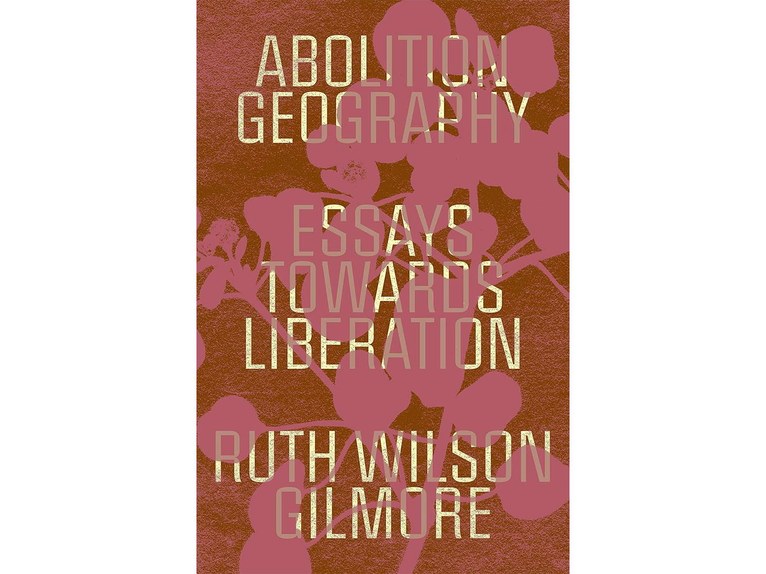 Abolition Geography: Essays Towards Liberation - Ruth Wilson Gilmore