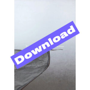 Paper leaves and other constructions- ed. Karen Christopher & Tara Fatehi Irani